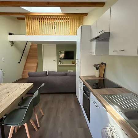 Duplex En Plein Centre * Gérardmer