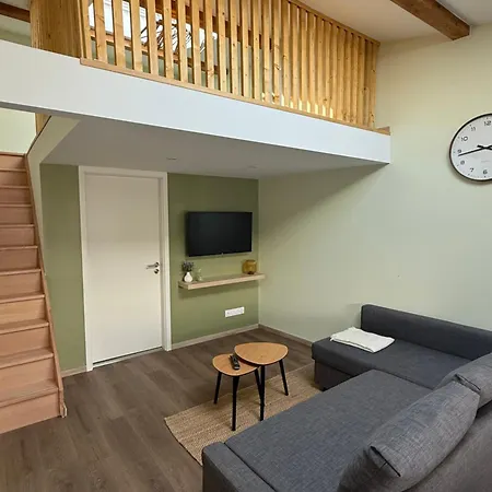 Duplex En Plein Centre Appartamento *