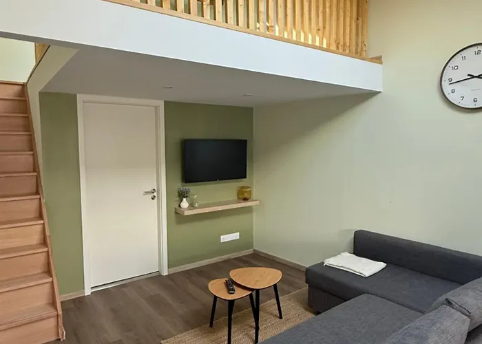 Duplex En Plein Centre דירה *